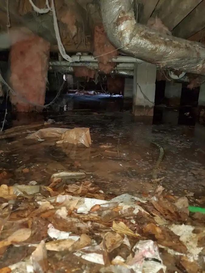 Crawl space flood assessment for Leak Detection & Repair in Rio Pinar